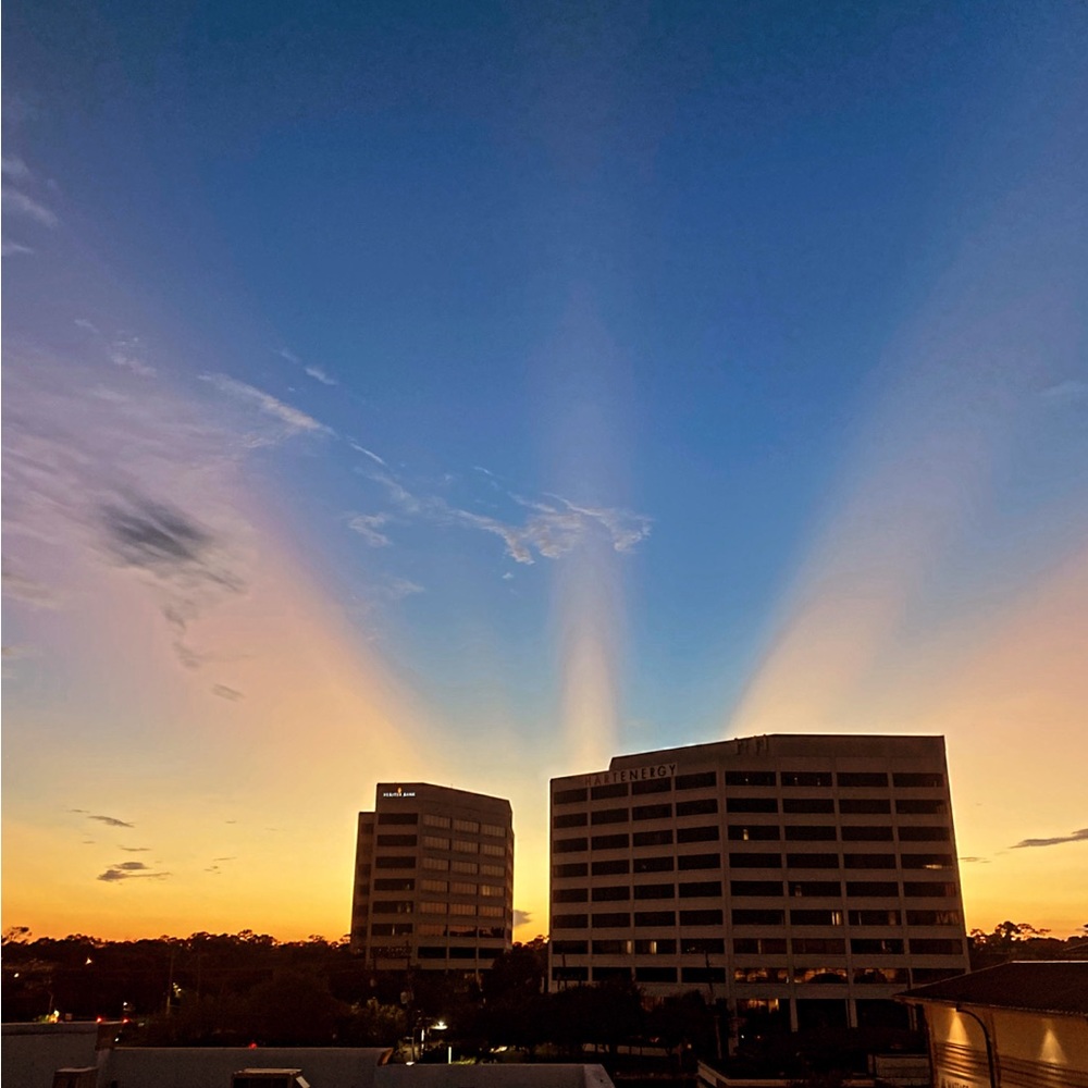 Meet your Posher, Sydney